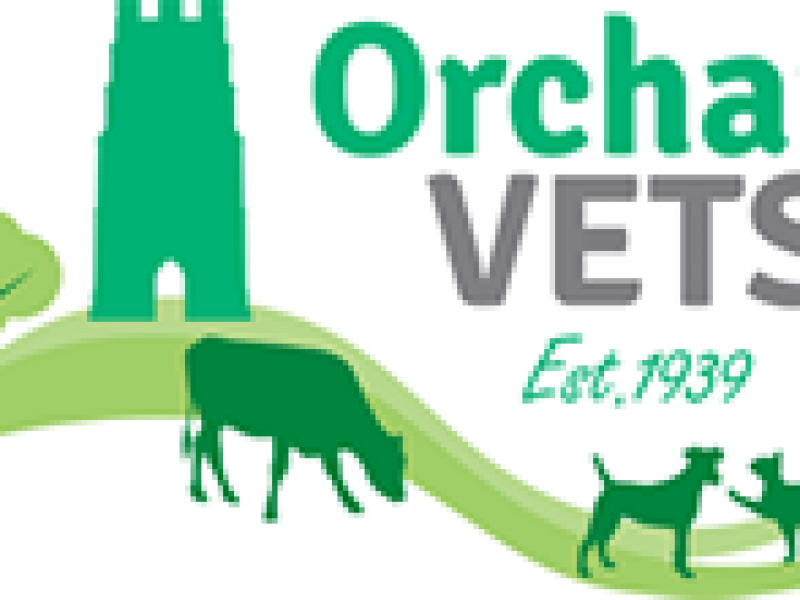 logo-orchard-vets