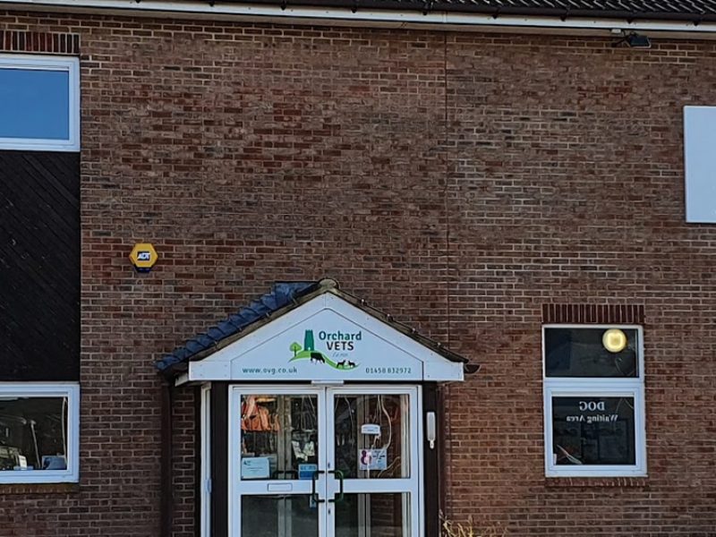 banner-ovg-building