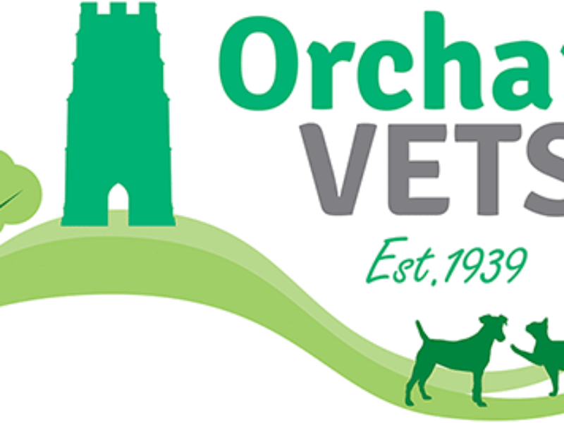 logo-ovg